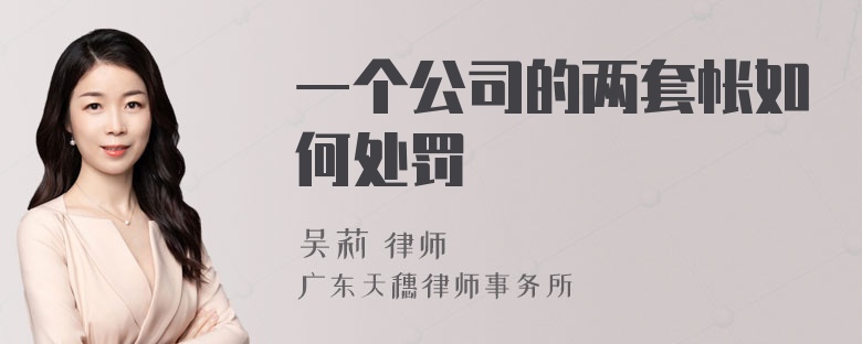 一个公司的两套帐如何处罚