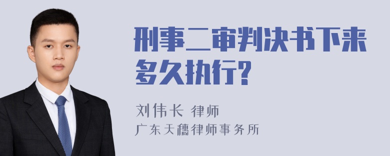 刑事二审判决书下来多久执行?