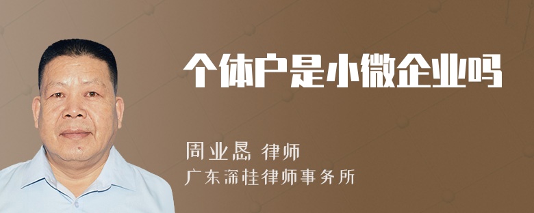 个体户是小微企业吗