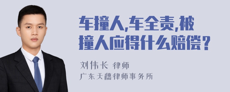 车撞人,车全责,被撞人应得什么赔偿？