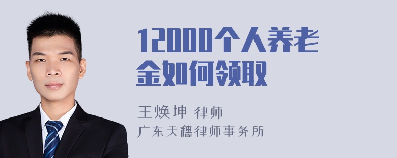 12000个人养老金如何领取