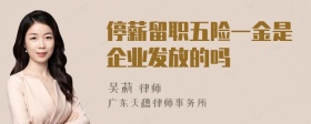 停薪留职五险一金是企业发放的吗