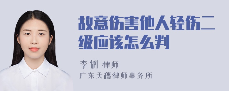 故意伤害他人轻伤二级应该怎么判