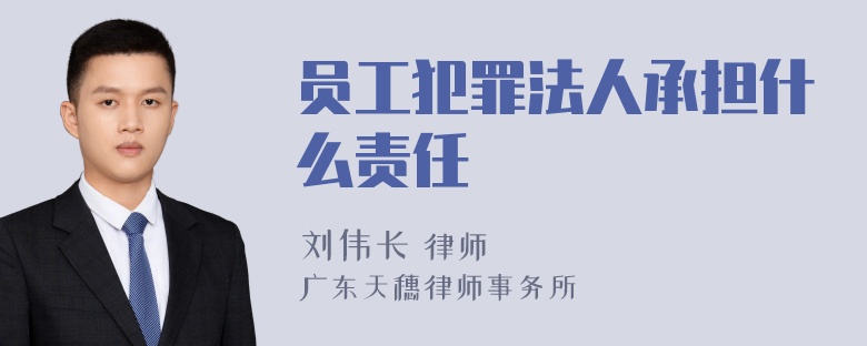 员工犯罪法人承担什么责任