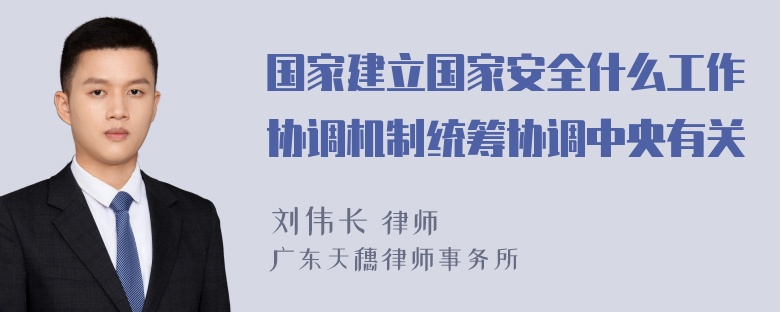 国家建立国家安全什么工作协调机制统筹协调中央有关