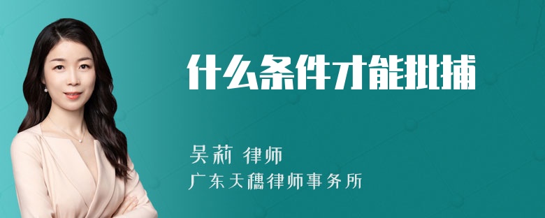 什么条件才能批捕