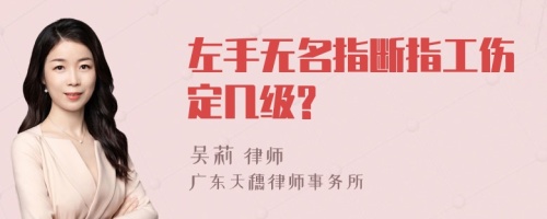 左手无名指断指工伤定几级?