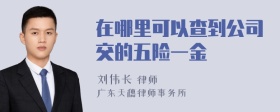 在哪里可以查到公司交的五险一金