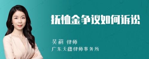 抚恤金争议如何诉讼