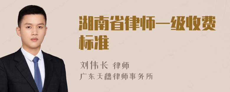 湖南省律师一级收费标准