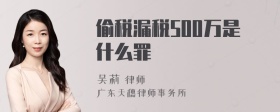 偷税漏税500万是什么罪