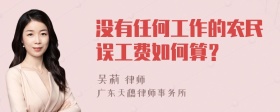 没有任何工作的农民误工费如何算？