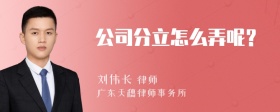 公司分立怎么弄呢？