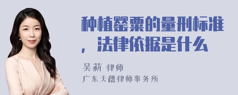 种植罂粟的量刑标准，法律依据是什么