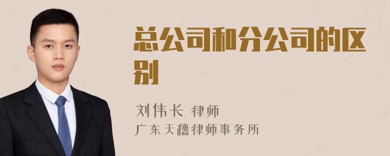 总公司和分公司的区别