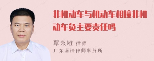 非机动车与机动车相撞非机动车负主要责任吗