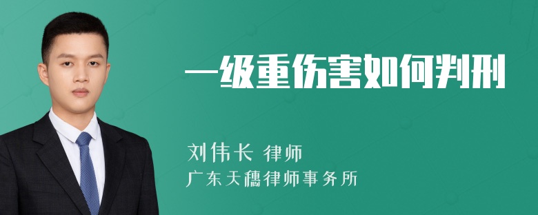 一级重伤害如何判刑