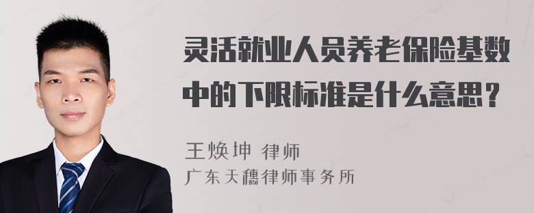 灵活就业人员养老保险基数中的下限标准是什么意思？