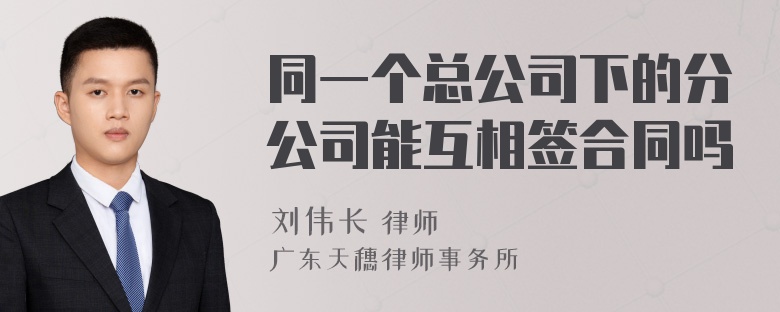 同一个总公司下的分公司能互相签合同吗