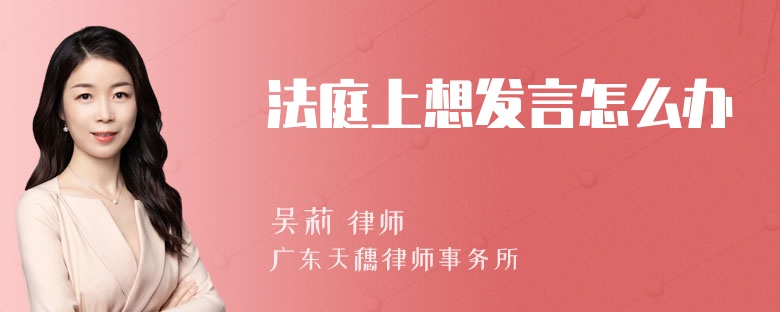 法庭上想发言怎么办