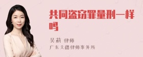 共同盗窃罪量刑一样吗