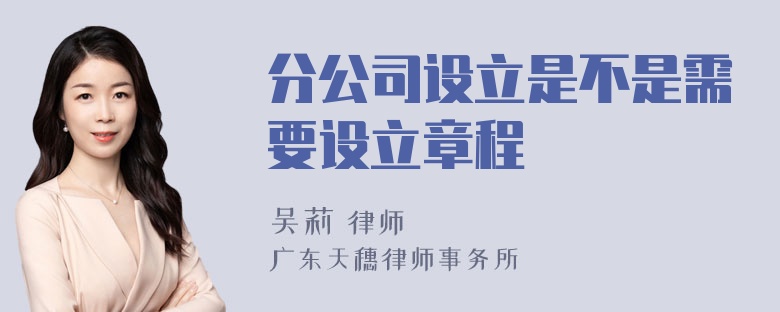 分公司设立是不是需要设立章程