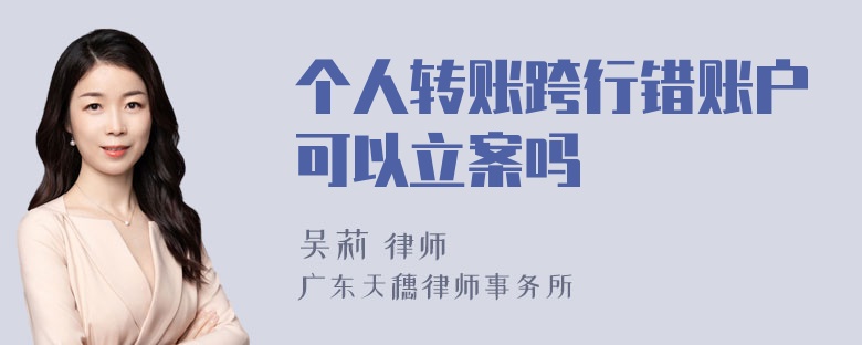 个人转账跨行错账户可以立案吗