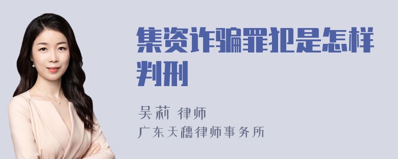 集资诈骗罪犯是怎样判刑