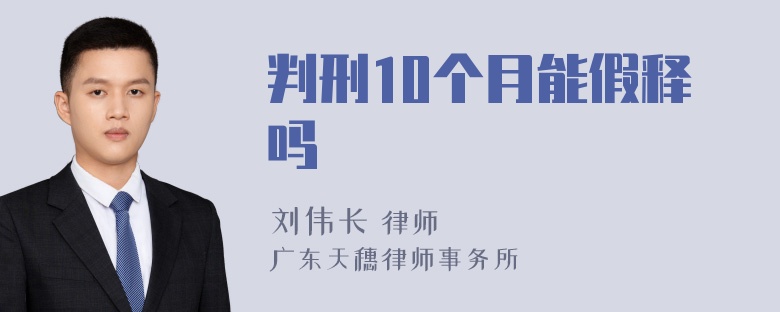 判刑10个月能假释吗