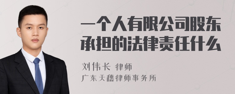 一个人有限公司股东承担的法律责任什么