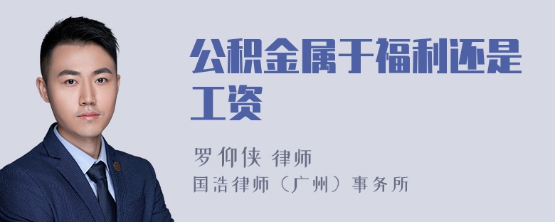 公积金属于福利还是工资
