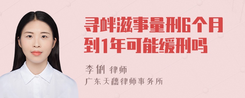 寻衅滋事量刑6个月到1年可能缓刑吗