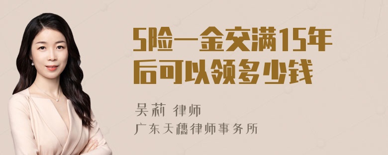 5险一金交满15年后可以领多少钱