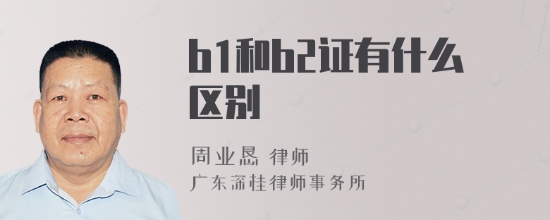 b1和b2证有什么区别