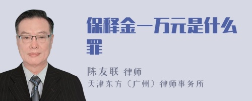 保释金一万元是什么罪