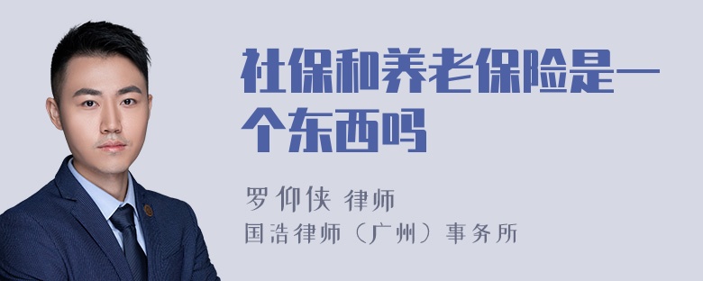 社保和养老保险是一个东西吗