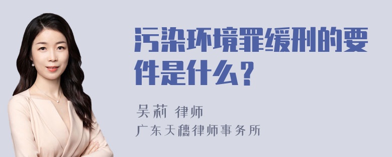 污染环境罪缓刑的要件是什么？