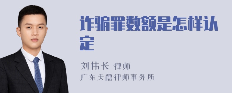 诈骗罪数额是怎样认定