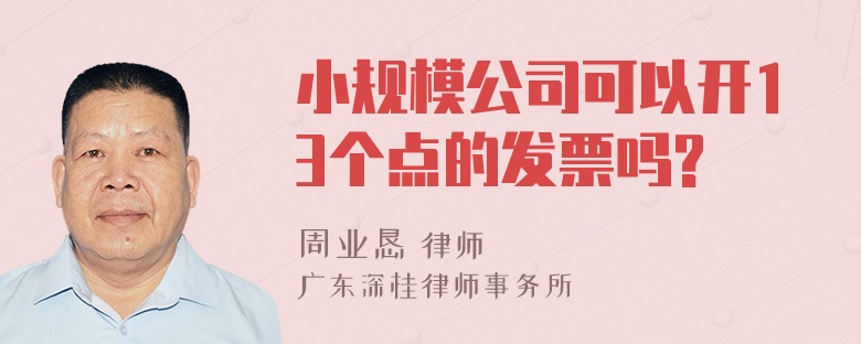 小规模公司可以开13个点的发票吗?