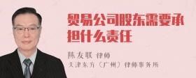 贸易公司股东需要承担什么责任