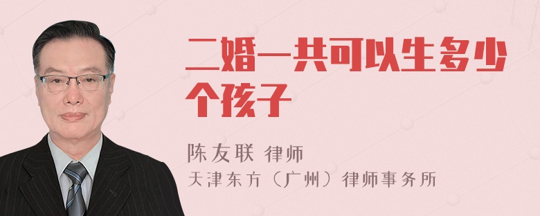 二婚一共可以生多少个孩子