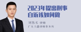 2023年提出刑事自诉该如何做