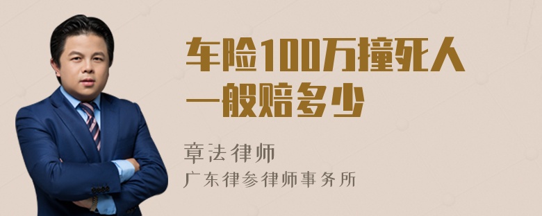 车险100万撞死人一般赔多少