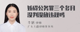 妨碍公务罪三个多月没判没放违规吗