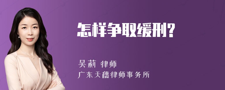 怎样争取缓刑?