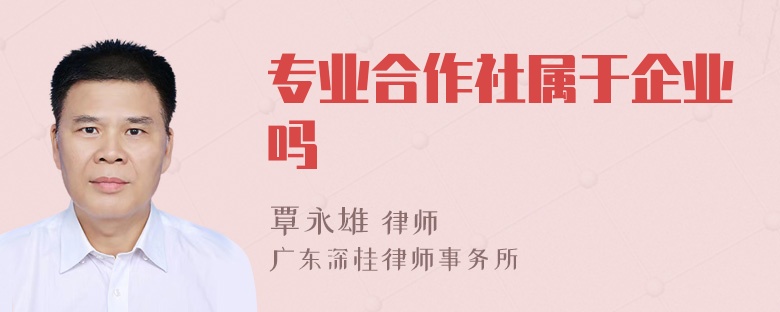 专业合作社属于企业吗