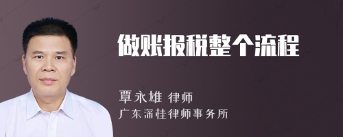 做账报税整个流程