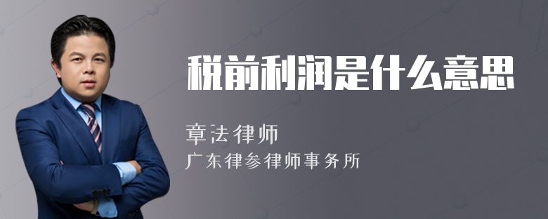 税前利润是什么意思