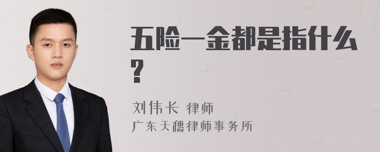 五险一金都是指什么?