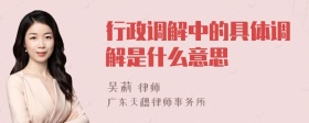 行政调解中的具体调解是什么意思